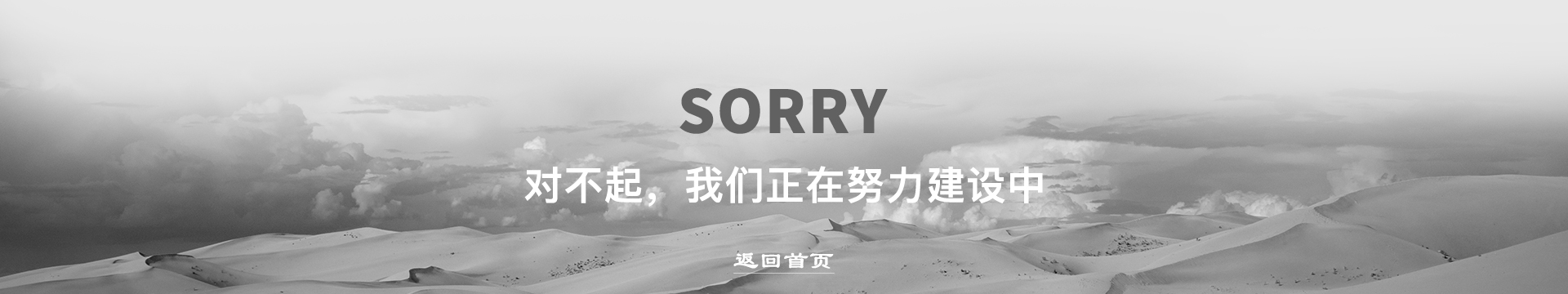 雷竞技RAYBET官网